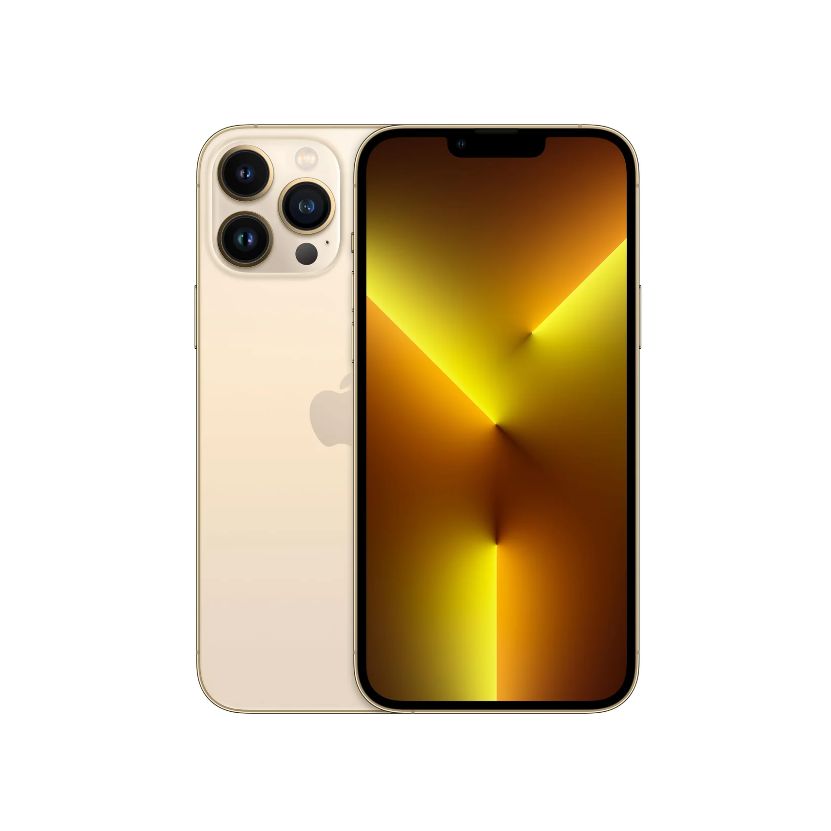 13 PRO